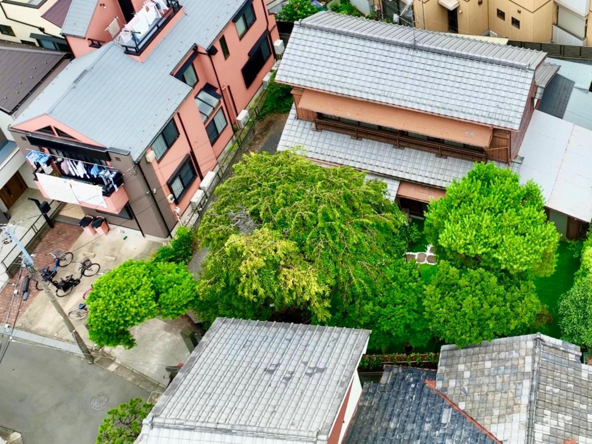 Family Or Business Travel 20 Percent Off丨200 Sqm 丨 14 Min To Shinjuku 丨century-Old Japanese Garden 丨3 Parking Spaces丨4 Bedrooms Tokyo Ngoại thất bức ảnh